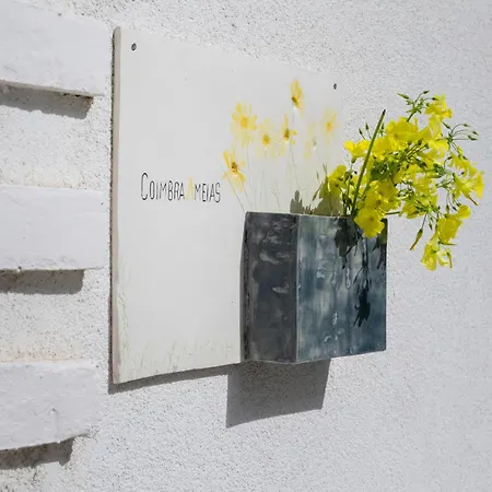 Coimbraameias コインブラ