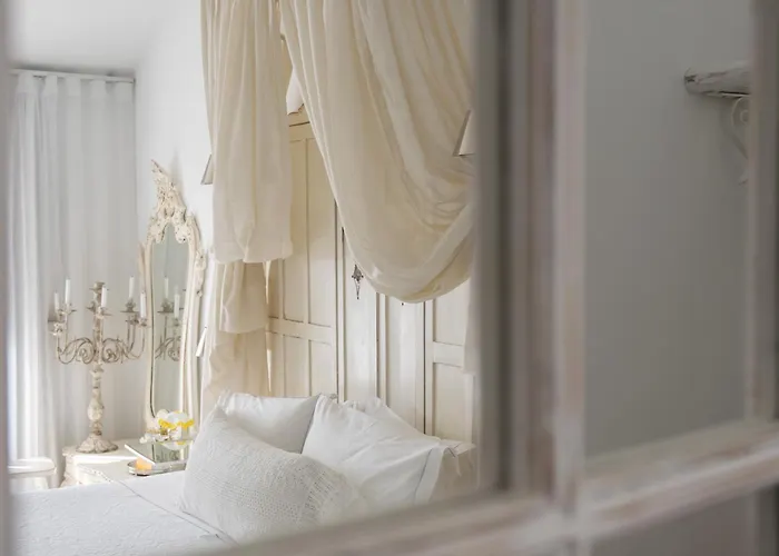 Coimbraameias קוימברה