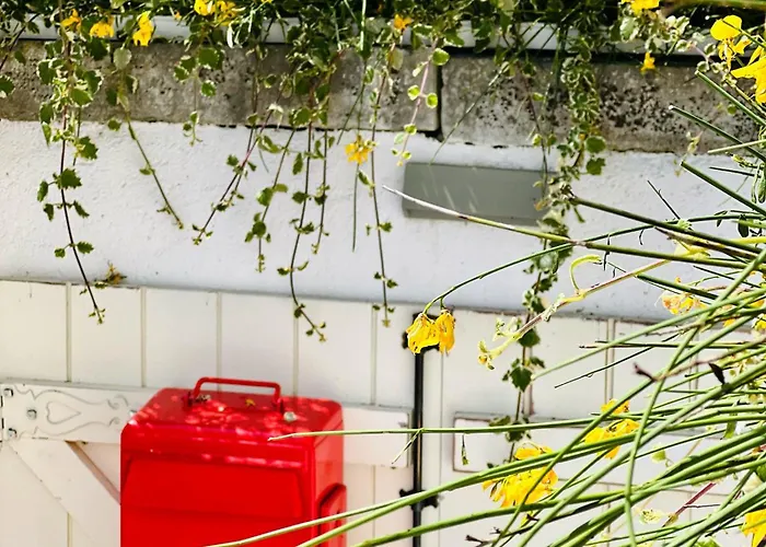 Coimbraameias בית הארחה קוימברה